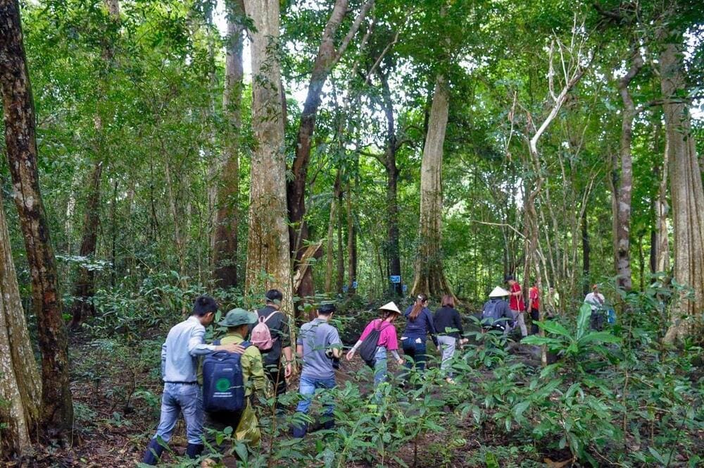 Nơi đây thu hút khách du lịch với các tour đi bộ xuyên rừng, ngủ lều và khám phá động vật hoang dã về đêm (Nguồn: TripsPoint)